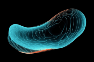 how morpheus8 breast lift technology works